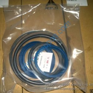 4120005524004 sealing ring kit SDLG G9165 G9180 G9190 G9200 G9220 PARTS