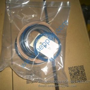 4120005963009 SEALING RING KIT SDLG G9190 G9200 G9220
