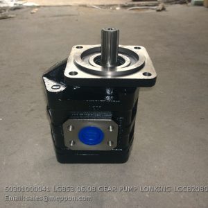 60301000041 LG853.06.08 GEAR PUMP LONKING LGCB2080