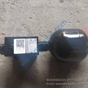 60304000105 WYF-65 VALVE LONKING