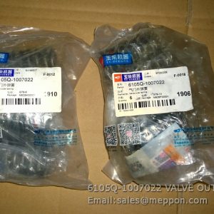 6105Q-1007022 VALVE OUTER SPRING YUCHAI