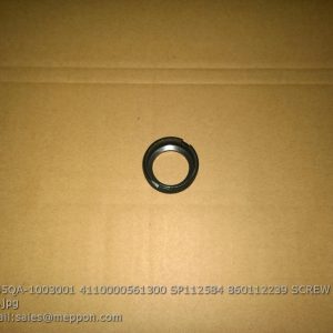 6105QA-1003001 4110000561300 SP112584 860112239 SCREW COVER