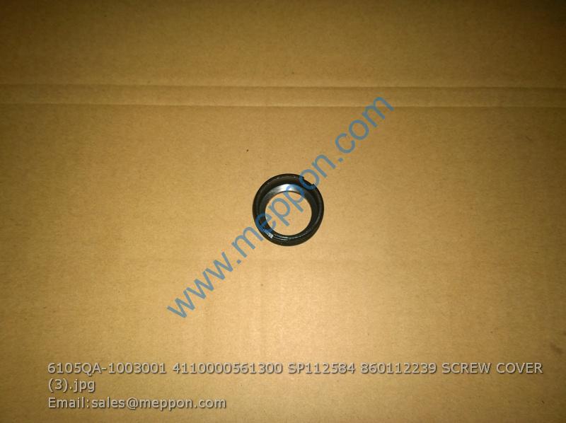 6105QA-1003001 4110000561300 SP112584 860112239 SCREW COVER