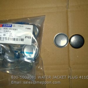 630-1003081 WATER JACKET PLUG 4110000561305