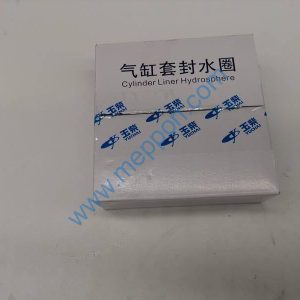 A3000-1002063B SEALING RING YUCHAI
