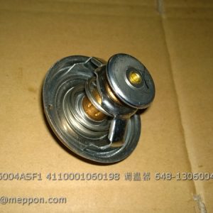 A9L00-1306004ASF1 4110001060198 648-1306004 THERMOSTAT YUCHAI