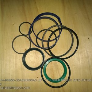 B00924+9D650-55A020000A0 LIFT CYLINDER REPAIR KITS FOTON LOVOL