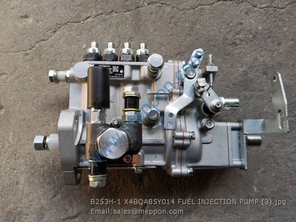 B253H-1 X4BQA85Y014 FUEL INJECTION PUMP XINCHAI