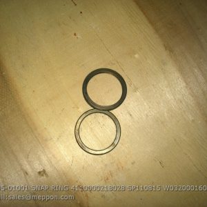 BD05-01001 SNAP RING 4110000218028 SP110815 W032000160