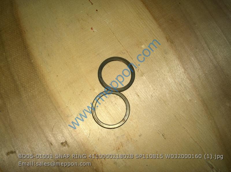 BD05-01001 SNAP RING 4110000218028 SP110815 W032000160