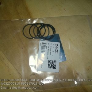 BD05-01008 SEAL RING 4110000789007 4110000218093 SP104312 W032000310 860127918