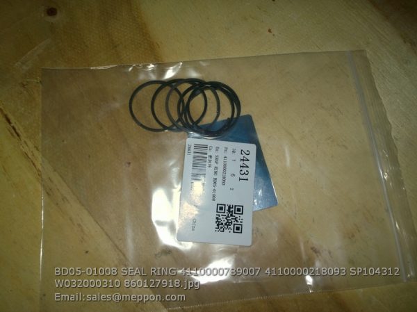 BD05-01008 SEAL RING 4110000789007 4110000218093 SP104312 W032000310 860127918