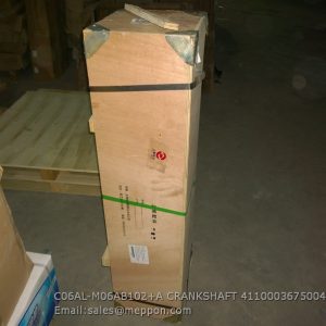 C06AL-M06AB102+A CRANKSHAFT 4110003675004 M06AB102