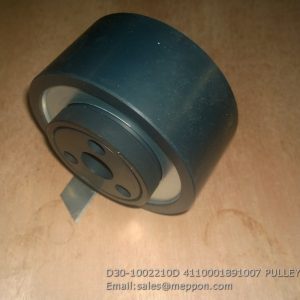 D30-1002210D 4110001891007 PULLEY