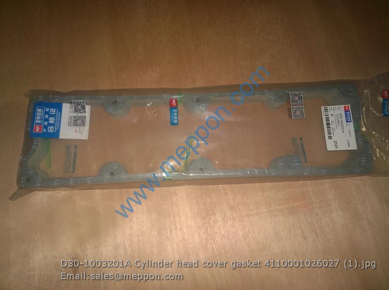 D30-1003201A Cylinder head cover gasket 4110001026027