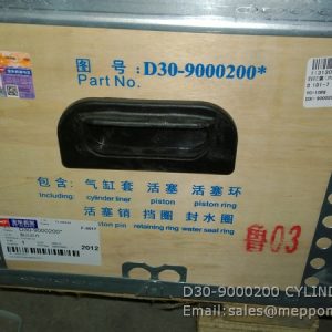 D30-9000200 CYLINDER KIT YUCHAI