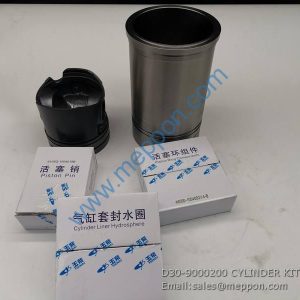 D30-9000200 CYLINDER KIT YUCHAI
