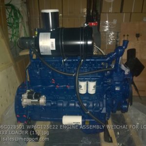 DHB06G023501 WP6G125E22 ENGINE ASSEMBLY WEICHAI FOR LONKING CDM833 LOADER