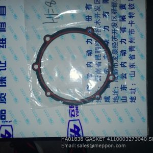 HA01838 GASKET 4110003273040 SDLG