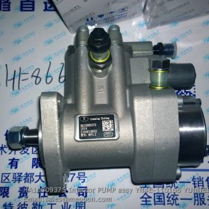 HA10009375 Injector PUMP assy YN4E-110166 YUNNEI