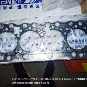 HA10017965 YN38CRE-06003 HEAD GASKET YUNNEI