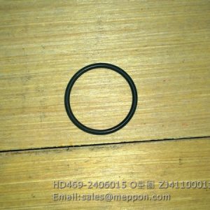 HD469-2406015 O-RING ZJ4110001187033 LGMG