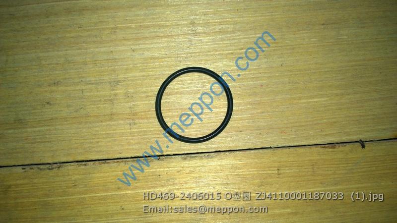 HD469-2406015 O-RING ZJ4110001187033 LGMG