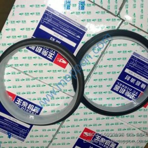 L3000-1600019B OIL SEAL YUCHAI