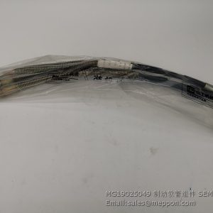MG19025049  SEM HOSE