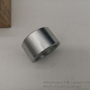 MG19026029 5385942 SEM BUSH