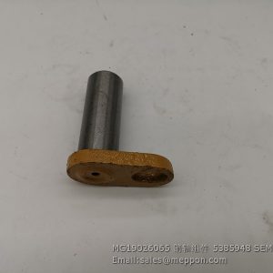 MG19026065 5385948 SEM PIN
