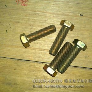 Q151B1450TF6 Bolt SHACMAN TONLY