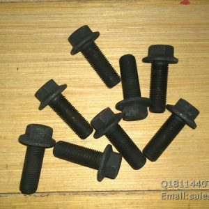 Q1811440TF2 Bolt SHACMAN