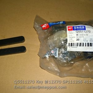 Q5511270 Key 12X70 SP111206 4110000561276