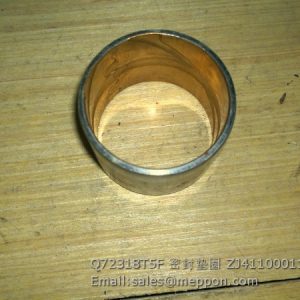 Q72318T5F SEAL RING ZJ4110001187038 LGMG