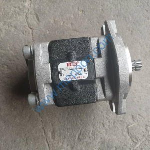 SGP1A31.9D2H9-L438T GEAR PUMP