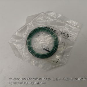 W44000005 AG050G50X65X6 5386707 OIL SEAL SEM