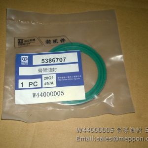 W44000005 SEM OIL SEAL 5386707