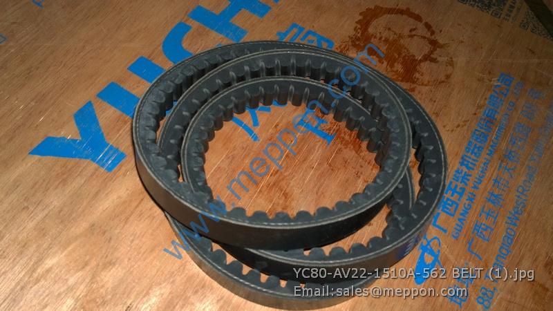 YC80-AV22-1510A-562 BELT YUCHAI