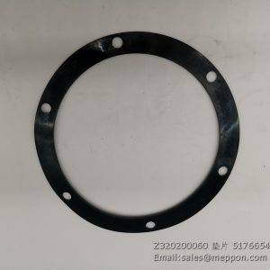 Z320200060 Gasket 5176654 SEM