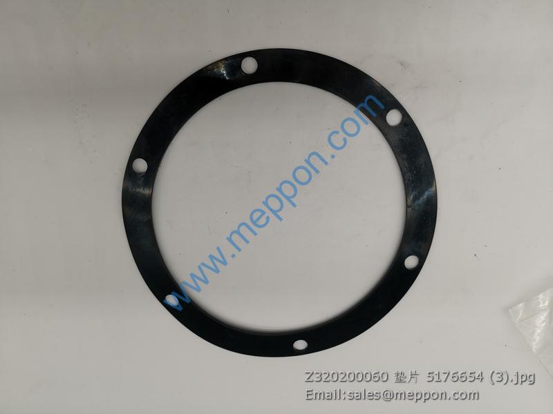 Z320200060 Gasket 5176654 SEM
