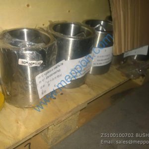 Z5100100702 BUSHING SEM