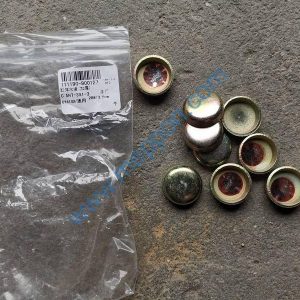 changchai zn390g plug