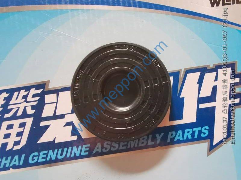ha010137 凸轮轴后堵盖4100QB-01-067 PLUG YUNNEI – Meppon Co., Ltd