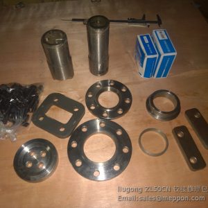 liugong ZL50CN JOINT PIN KITS
