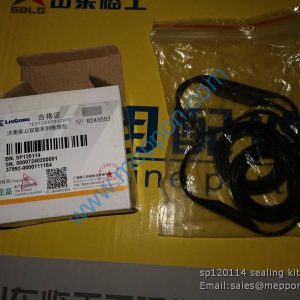 sp120114 sealing kit LIUGONG