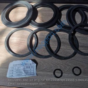 sp123891 seal kit original LIUGONG sp123556 sp123555 12b0035