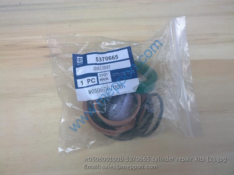 w050600100b 5370665 cylinder repair kits SEM