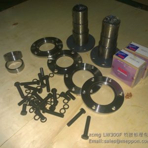 xcmg LW300F JOINT PIN KITS