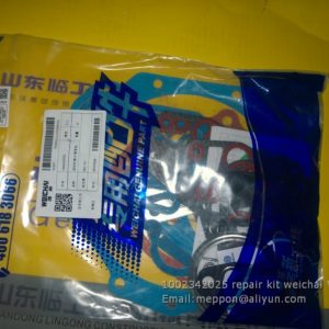 1002342025 repair kit weichai WP6